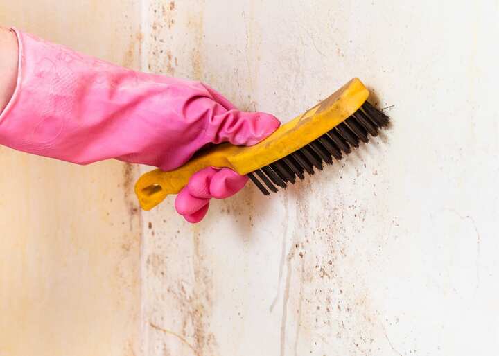mold inspections atlanta ga