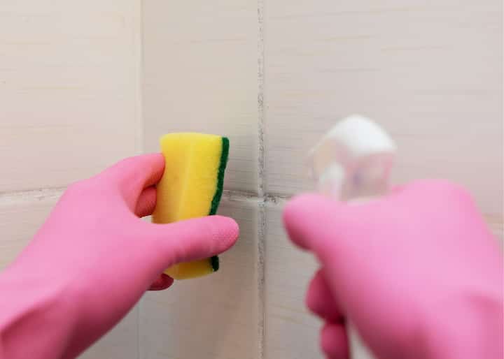 mold inspections atlanta ga