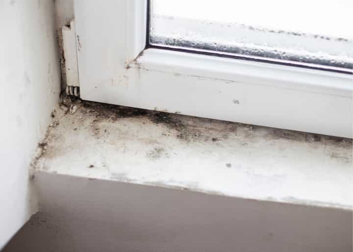 atlanta mold testing