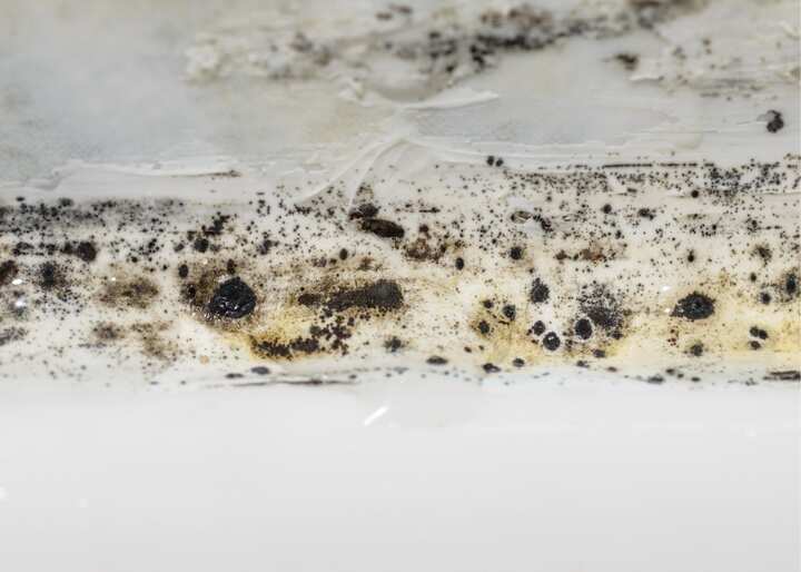 atlanta mold testing