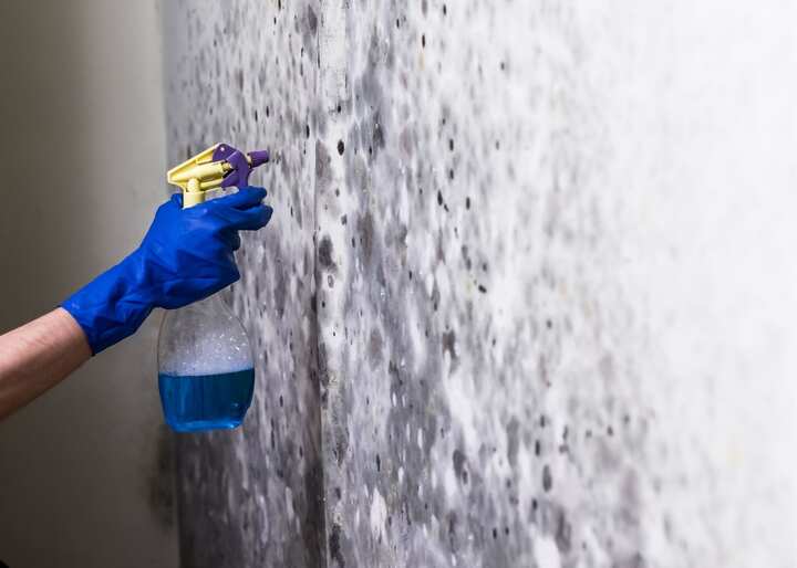 mold remediation atlanta ga