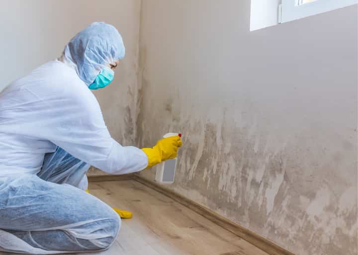 mold remediation atlanta ga