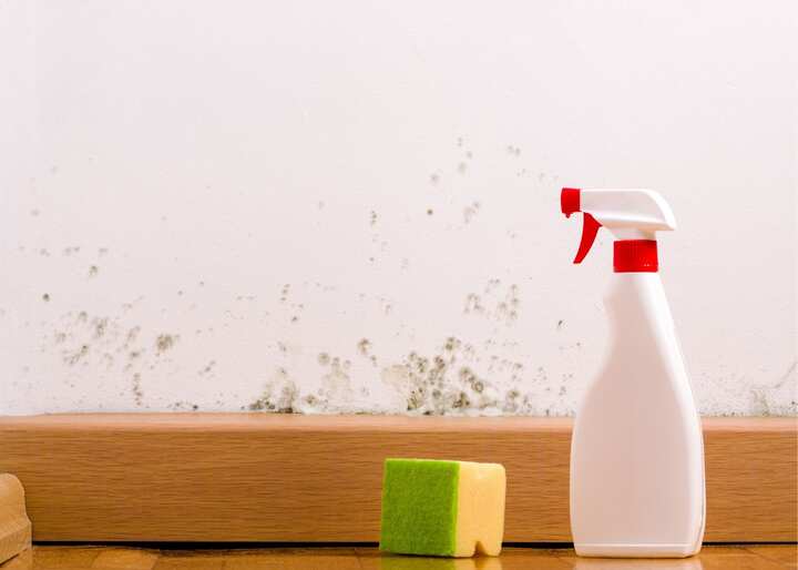 mold inspections atlanta ga