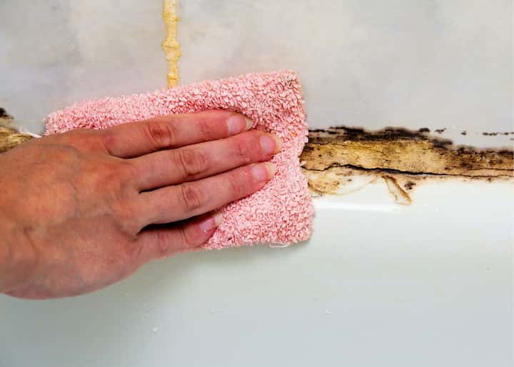 mold inspections atlanta ga