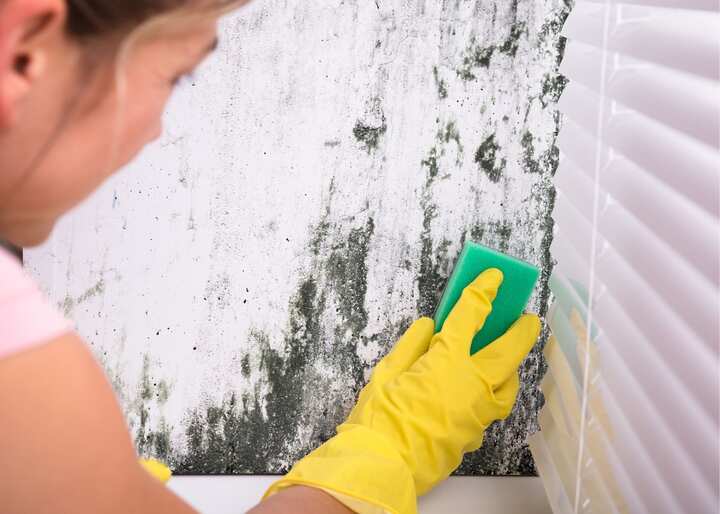 atlanta mold testing