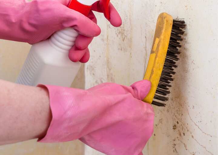 mold remediation atlanta ga