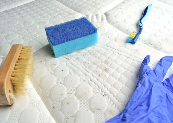 mold remediation atlanta ga