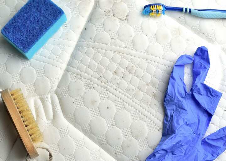mold remediation atlanta ga