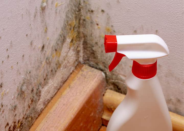 mold remediation atlanta ga
