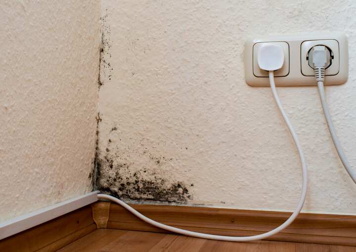 atlanta mold testing