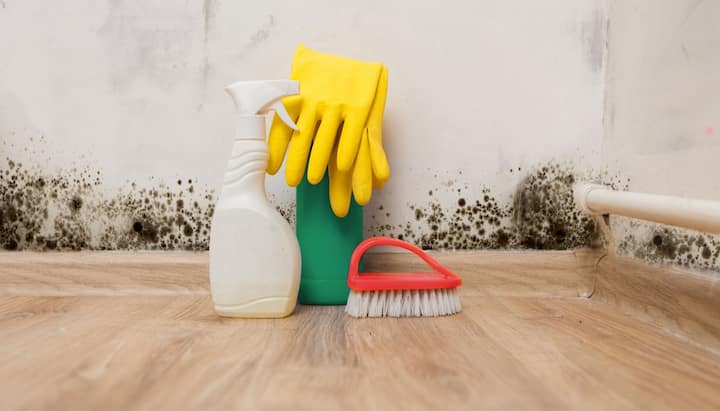 Know About Mold Removal In Atlanta