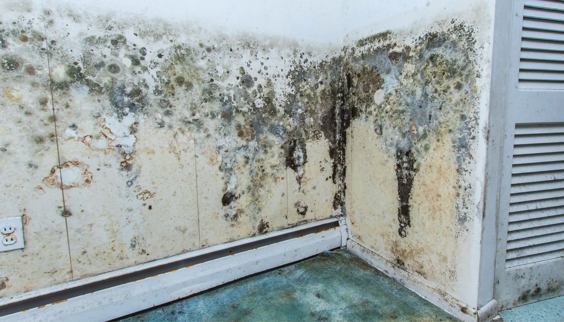 Mold Damage Odor Control Services in Atlanta