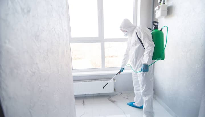 Mold Inspection Services in Atlanta